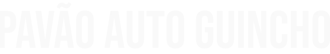 Pavão Auto Guincho - logomarca branca